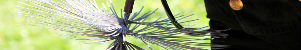 Banner - Michael Sauer